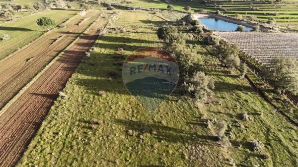 terreno agricolo in vendita a Caltagirone