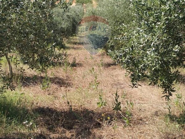 terreno agricolo in vendita a Caltagirone in zona Granieri