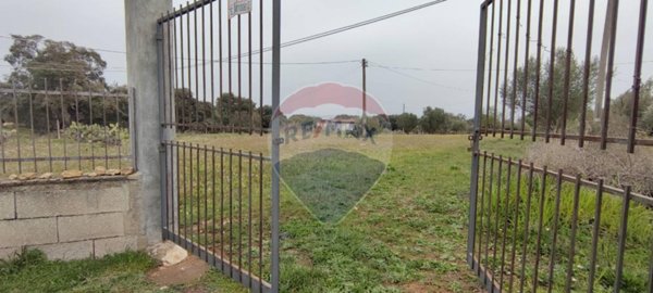 terreno agricolo in vendita a Caltagirone in zona Piano San Paolo