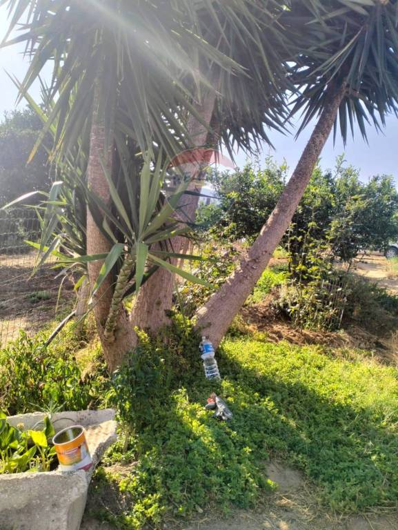 terreno agricolo in vendita a Caltagirone in zona Granieri