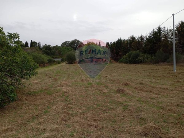terreno agricolo in vendita a Caltagirone