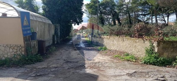 terreno agricolo in vendita a Caltagirone