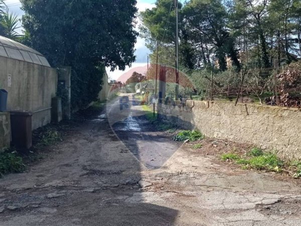 terreno agricolo in vendita a Caltagirone