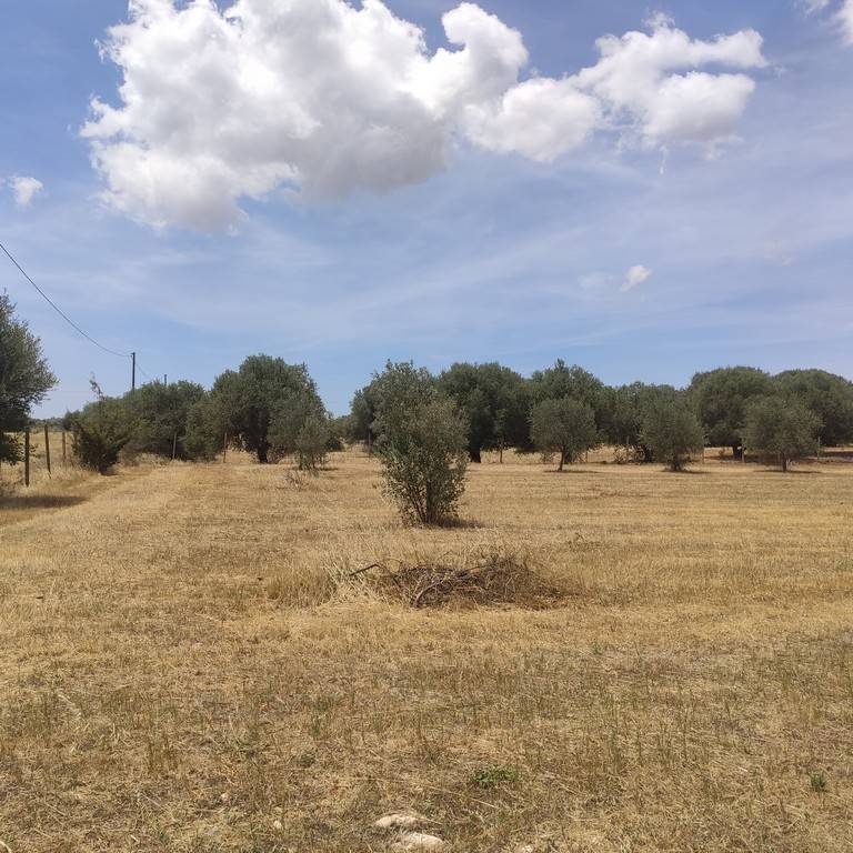 appartamento in vendita a Caltagirone in zona Santo Pietro