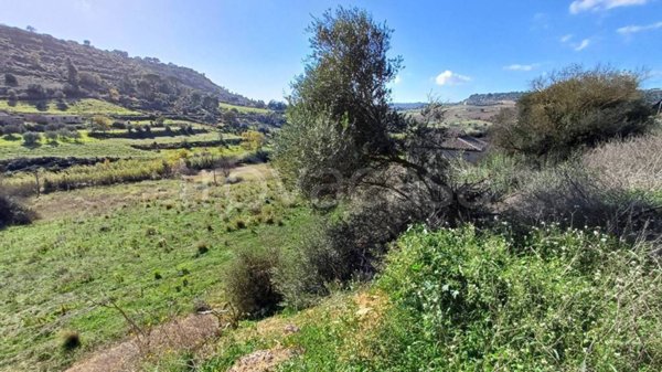 terreno agricolo in vendita a Caltagirone