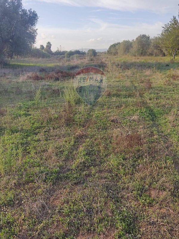 terreno agricolo in vendita a Caltagirone