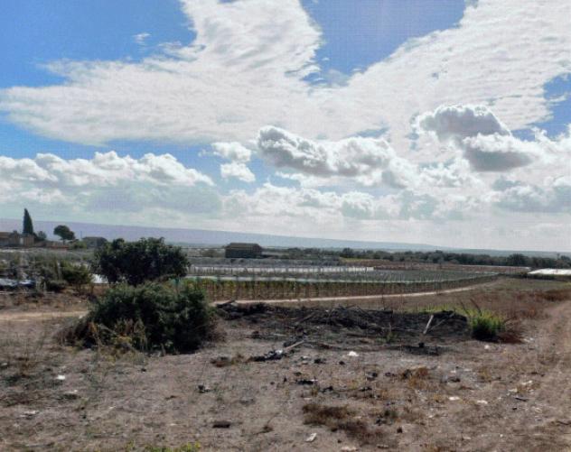 terreno agricolo in vendita a Caltagirone