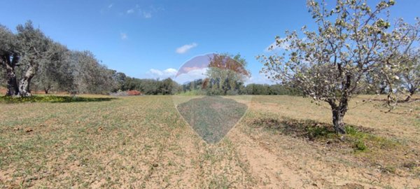 terreno agricolo in vendita a Caltagirone in zona Santo Pietro