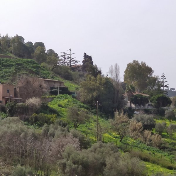 terreno agricolo in vendita a Caltagirone