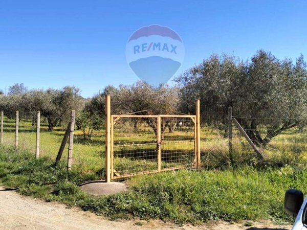 terreno agricolo in vendita a Caltagirone