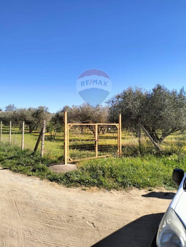 terreno agricolo in vendita a Caltagirone