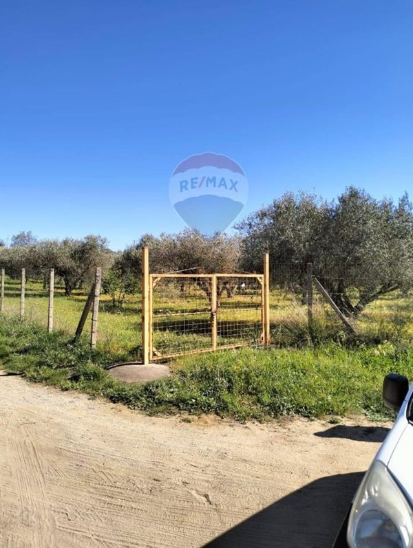 terreno agricolo in vendita a Caltagirone