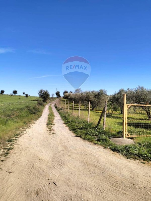 terreno agricolo in vendita a Caltagirone