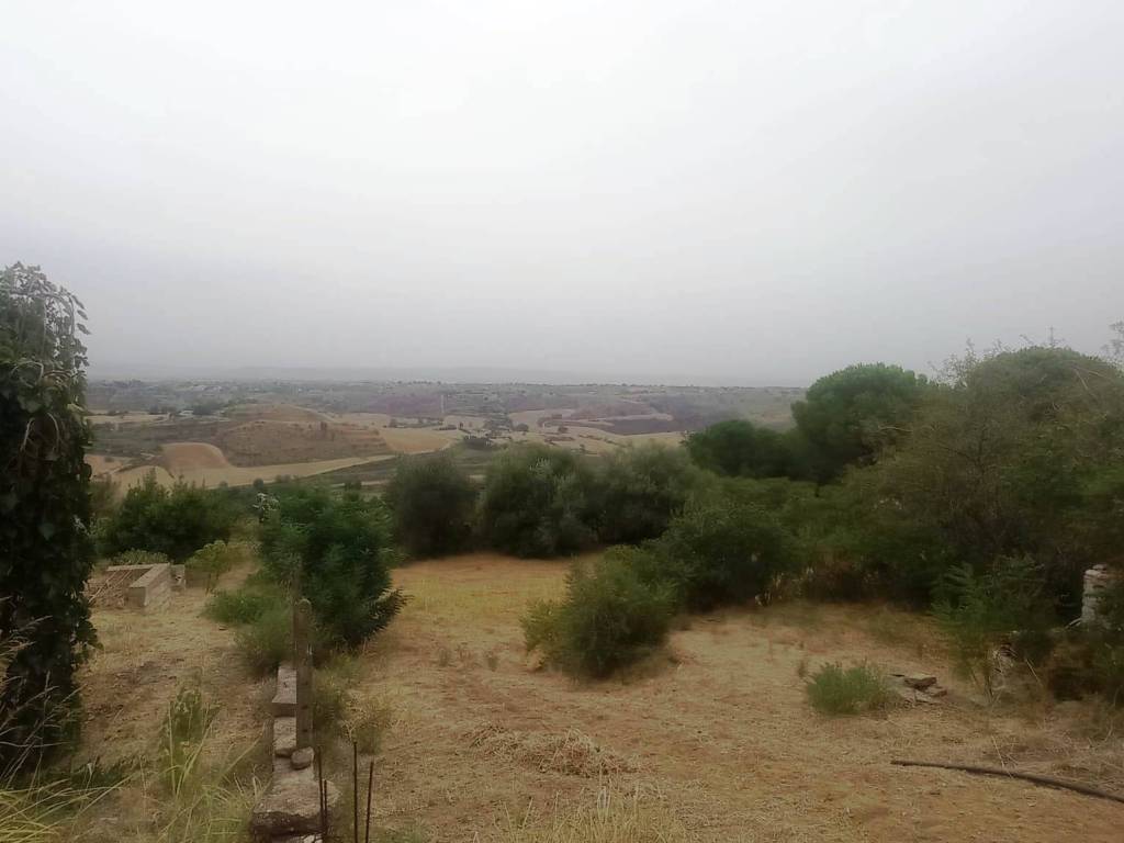 terreno agricolo in vendita a Caltagirone