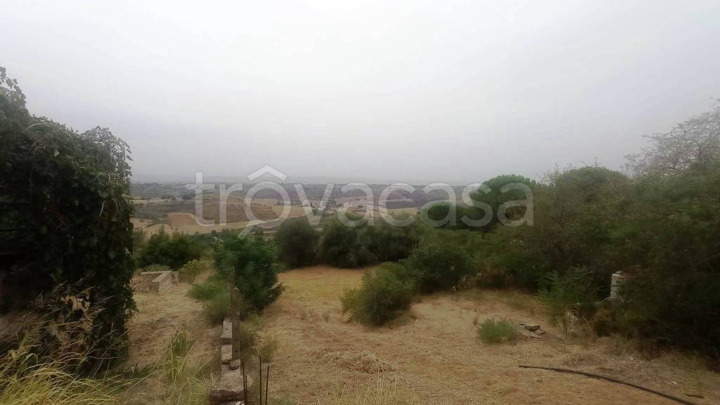 terreno agricolo in vendita a Caltagirone