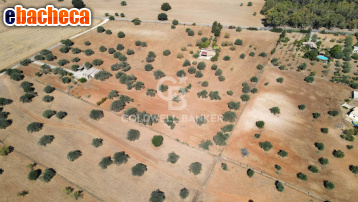 terreno agricolo in vendita a Caltagirone