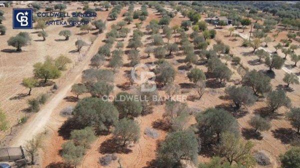 terreno agricolo in vendita a Caltagirone