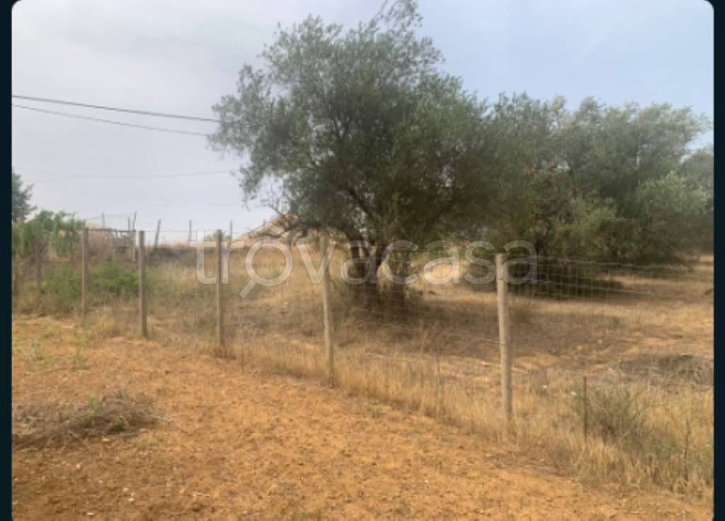 terreno agricolo in vendita a Caltagirone