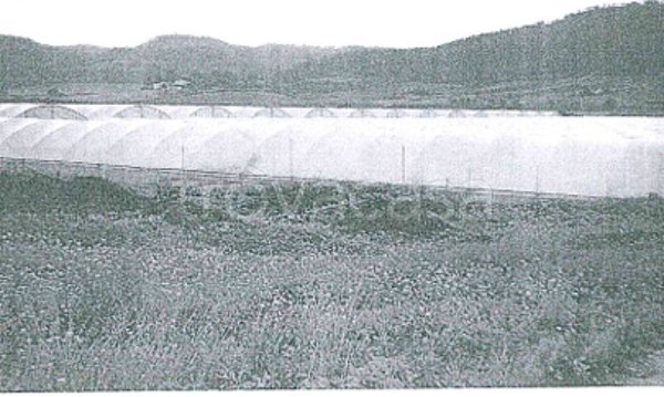 terreno agricolo in vendita a Caltagirone