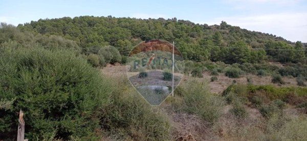 terreno agricolo in vendita a Caltagirone