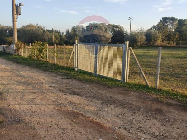 terreno agricolo in vendita a Caltagirone in zona Santo Pietro