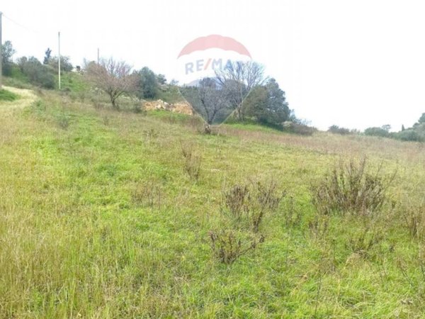 terreno agricolo in vendita a Caltagirone