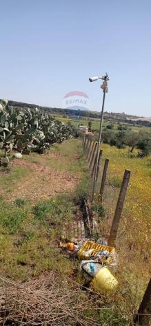 terreno agricolo in vendita a Caltagirone
