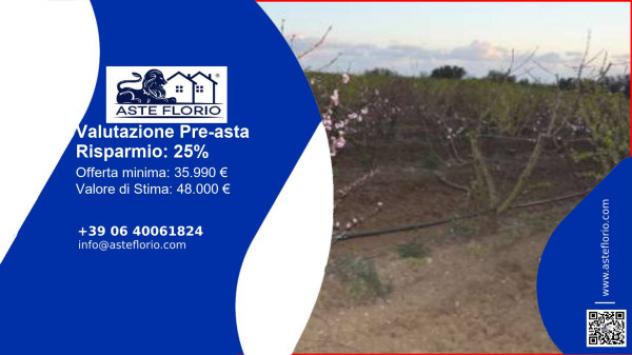 terreno agricolo in vendita a Caltagirone in zona Santo Pietro