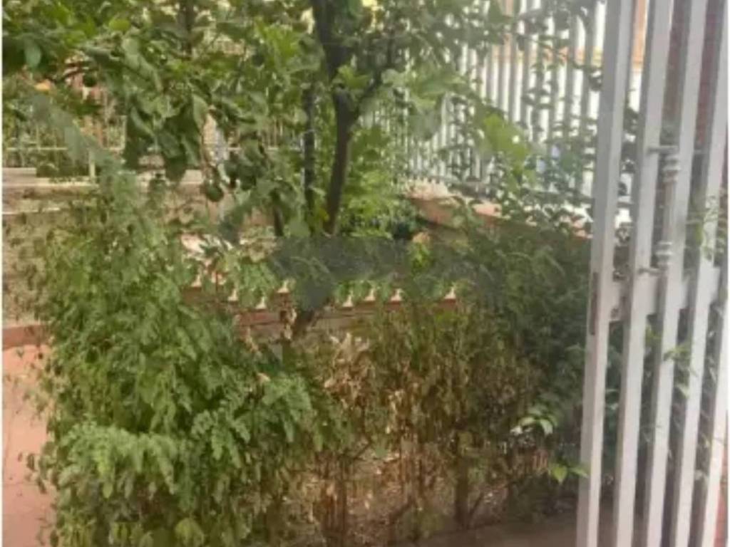 appartamento in vendita a Caltagirone