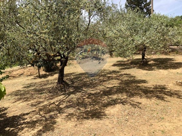 casa indipendente in vendita a Caltagirone in zona Colleggiata