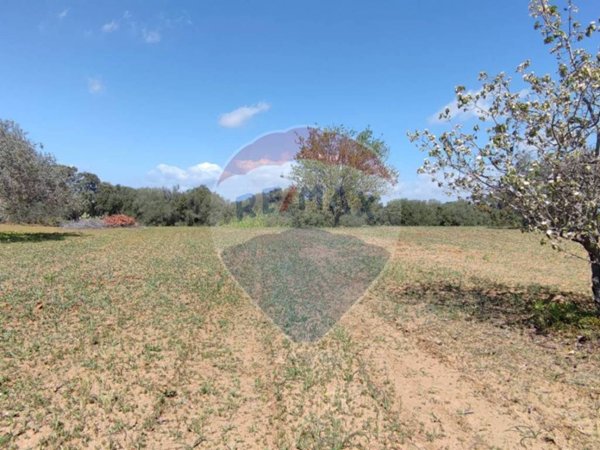 terreno agricolo in vendita a Caltagirone in zona Santo Pietro