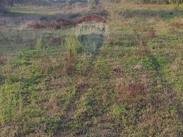 terreno agricolo in vendita a Caltagirone