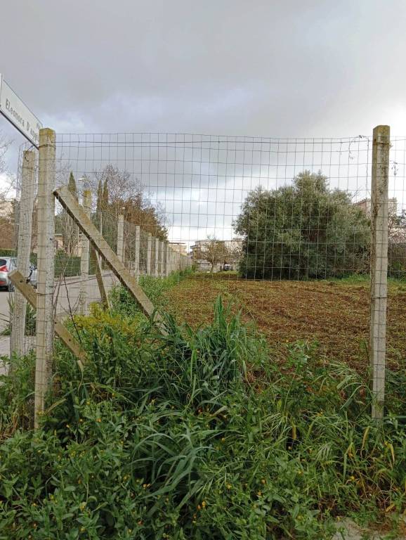 terreno agricolo in vendita a Caltagirone
