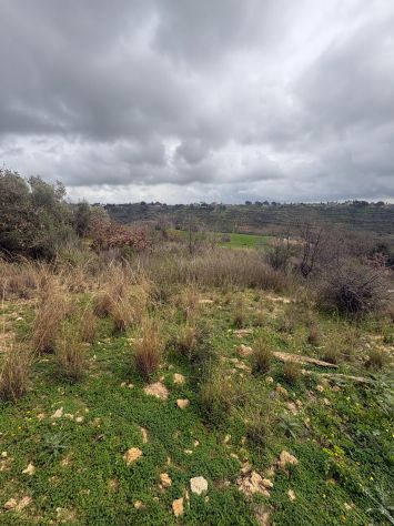 terreno agricolo in vendita a Caltagirone in zona Santo Pietro