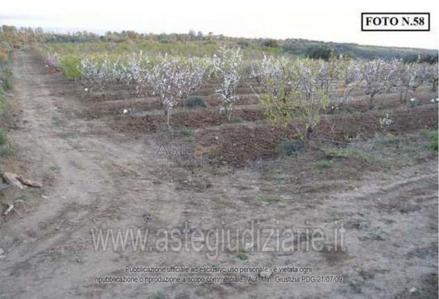 terreno edificabile in vendita a Caltagirone in zona Santo Pietro