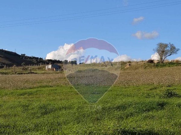 terreno agricolo in vendita a Caltagirone