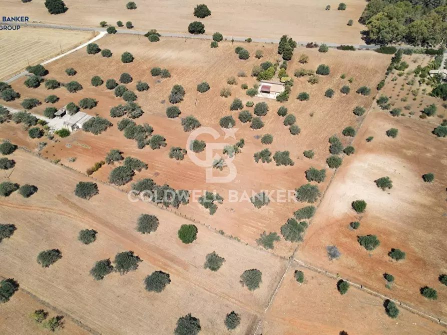 terreno agricolo in vendita a Caltagirone