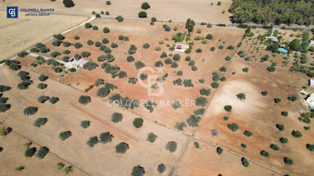 terreno agricolo in vendita a Caltagirone