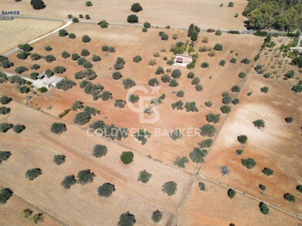 terreno agricolo in vendita a Caltagirone