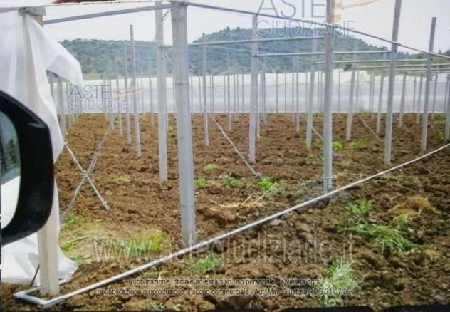 terreno agricolo in vendita a Caltagirone
