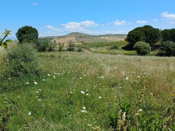 terreno agricolo in vendita a Caltagirone