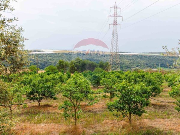 terreno agricolo in vendita a Caltagirone in zona Santo Pietro