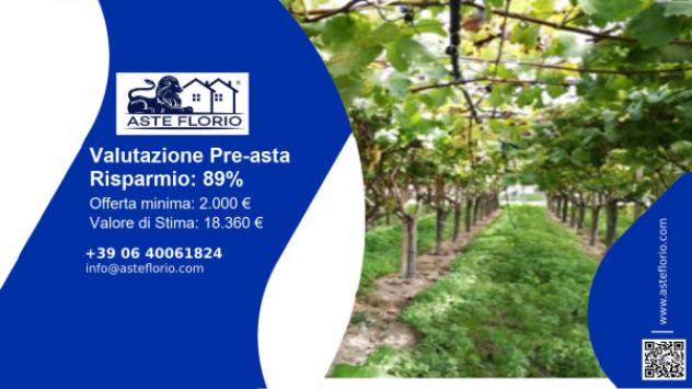 terreno agricolo in vendita a Caltagirone
