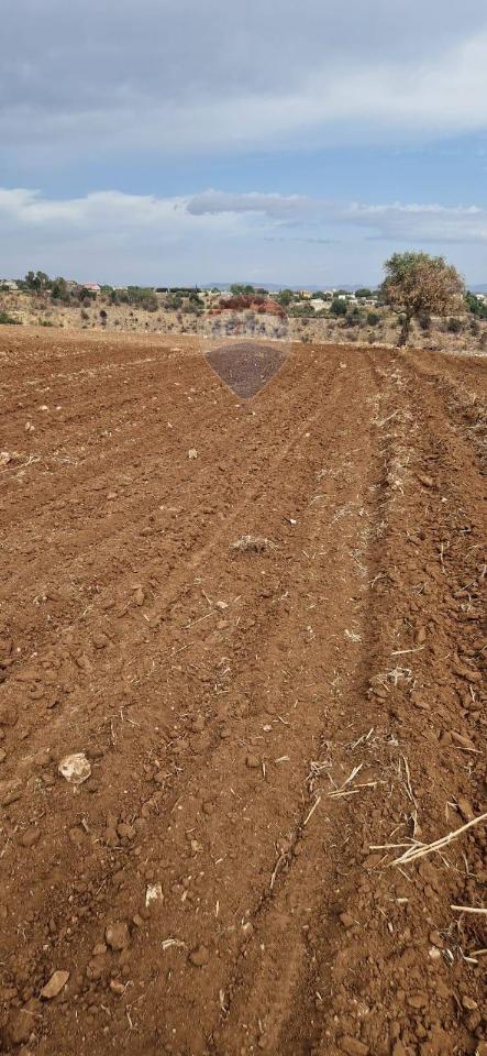 terreno agricolo in vendita a Caltagirone