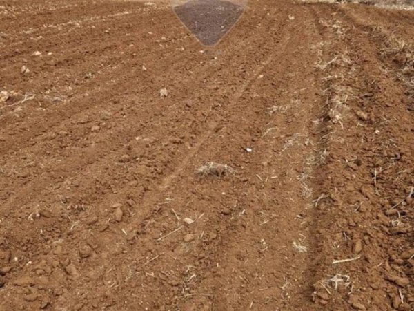 terreno agricolo in vendita a Caltagirone