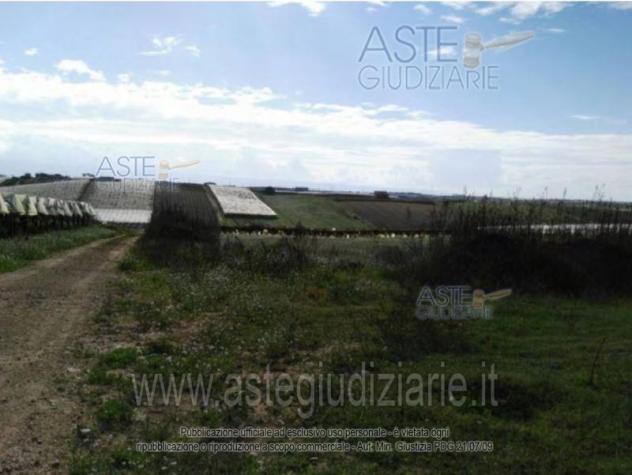 terreno agricolo in vendita a Caltagirone