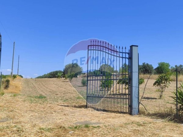 terreno agricolo in vendita a Caltagirone