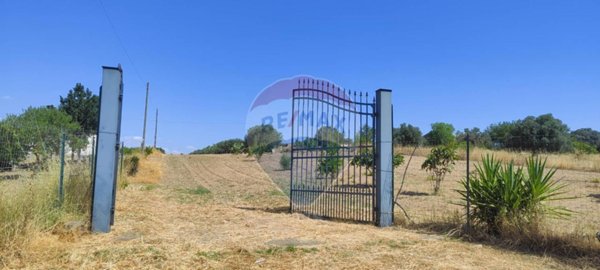 terreno agricolo in vendita a Caltagirone
