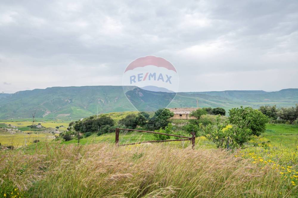terreno agricolo in vendita a Caltagirone