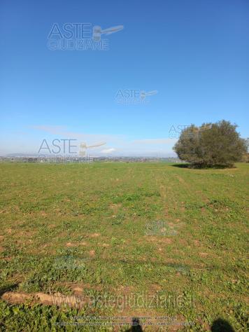terreno agricolo in vendita a Caltagirone